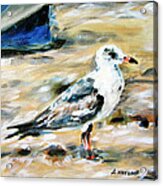 Beach Seagull Acrylic Print