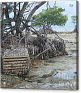 Beached Lobster Trap Acrylic Print