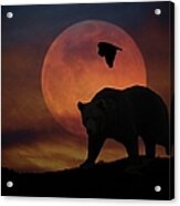 Bear And Moon Acrylic Print