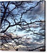 Beautiful Intense Sky Outside Of Work Acrylic Print