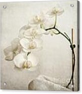Beautiful White Orchid Ii Acrylic Print