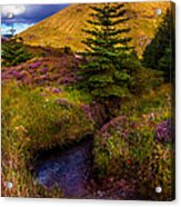 Beauty All Around. Rest And Be Thankful. Scotland Acrylic Print