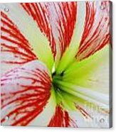 Natural - Beauty - Inside Acrylic Print