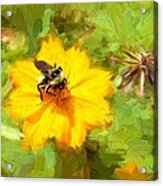 Bee On Flower Painting Acrylic Print