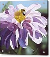 Bee Acrylic Print