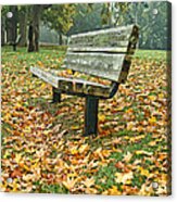 Bench And Foliage Acrylic Print