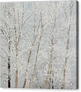 Benches And Hoar Frost Trees Acrylic Print