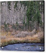 Bend At South Fork Acrylic Print