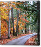 Bend In The Road Acrylic Print