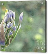 Best Is Yet To Come Acrylic Print