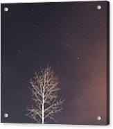 Big Dipper In The Night Sky With A Lone Acrylic Print