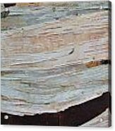 Birch Bark Acrylic Print