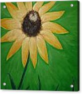 Black Eyed Susan Acrylic Print