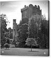 Blarney Castle Acrylic Print