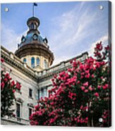 Blossoms At The State House Acrylic Print