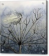 Blowing In The Wind Acrylic Print