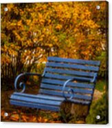 Blue Bench - Autumn - Deer Isle - Maine Acrylic Print