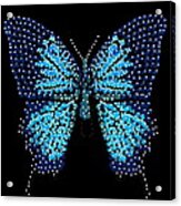 Blue Butterfly Black Background Acrylic Print
