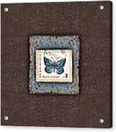 Blue Butterfly On Copper Acrylic Print