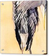 Blue Heron - Left Acrylic Print