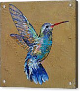Turquoise Hummingbird Acrylic Print