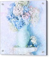 Blue Hydrangea Acrylic Print