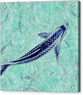 Blue Koi Acrylic Print