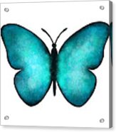 Blue Morpho Butterfly Acrylic Print