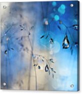 Blue Rain Acrylic Print