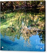Blue Springs Reflections Blue Springs State Park Florida Acrylic Print
