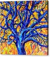 Blue Tree Acrylic Print