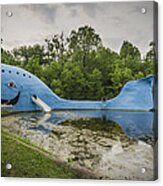 Blue Whale Catoosa Oklahoma Acrylic Print