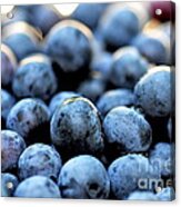 Blueberries Acrylic Print