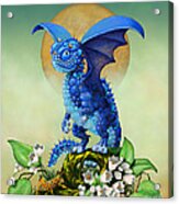 Blueberry Dragon Acrylic Print