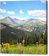 Boreas Pass Summer Acrylic Print