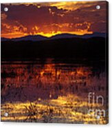 Bosque Sunset - Orange Acrylic Print