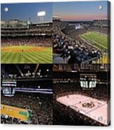 Boston Sport Teams And Fans Acrylic Print