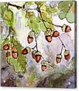 Botanical Acorns And Oak Leaves Acrylic Print