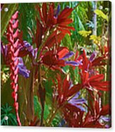 Botanical Gardens Acrylic Print