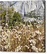 Bridalveil Falls In Autumn Acrylic Print