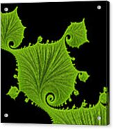 Bright Green Fractal Leaves Black Background Acrylic Print