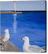 Bronte Lighthouse Gulls In Oil Acrylic Print