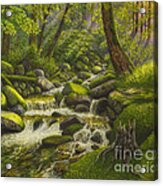 Brook In The Forest Acrylic Print