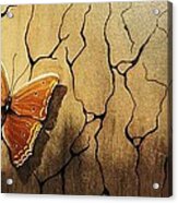Brown Butterfly Acrylic Print