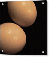 Brown Eggs Acrylic Print