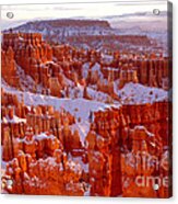 Bryce Canyon - 11 Acrylic Print