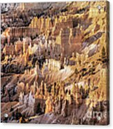 Bryce Canyon 3 Acrylic Print
