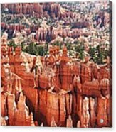 Bryce Canyon Colorful Site Acrylic Print
