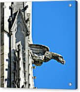 Bryn Athyn Gargoyle Acrylic Print