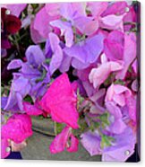 Bucket Of Peas Acrylic Print